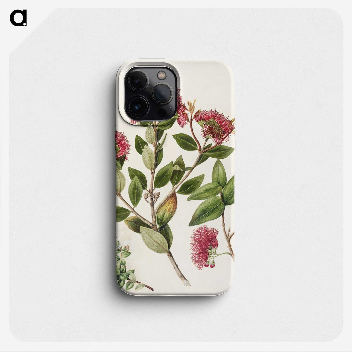 1-8_Native-Flowering-Plants-of-New-Zealand_phone