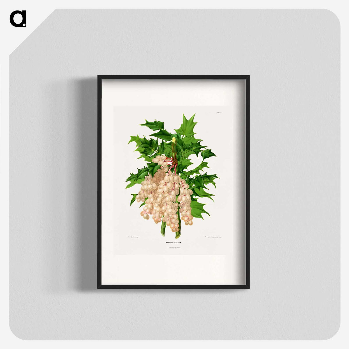 1-8_Nederlandsche-Flora-en-Pomona_blk