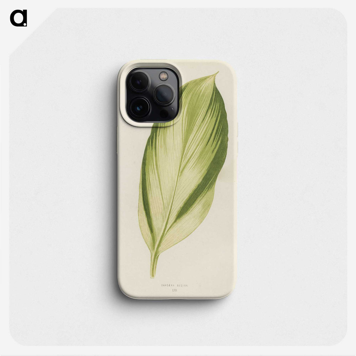 1-8_New-and-Rare-Beautiful-Leaved-Plants_phone