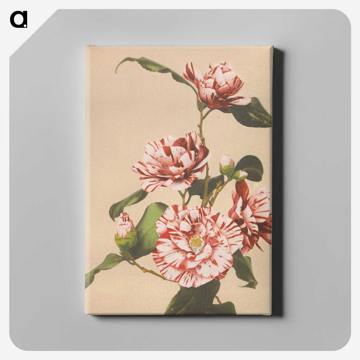 1-8_Ogawa-Kazumasa_canvas