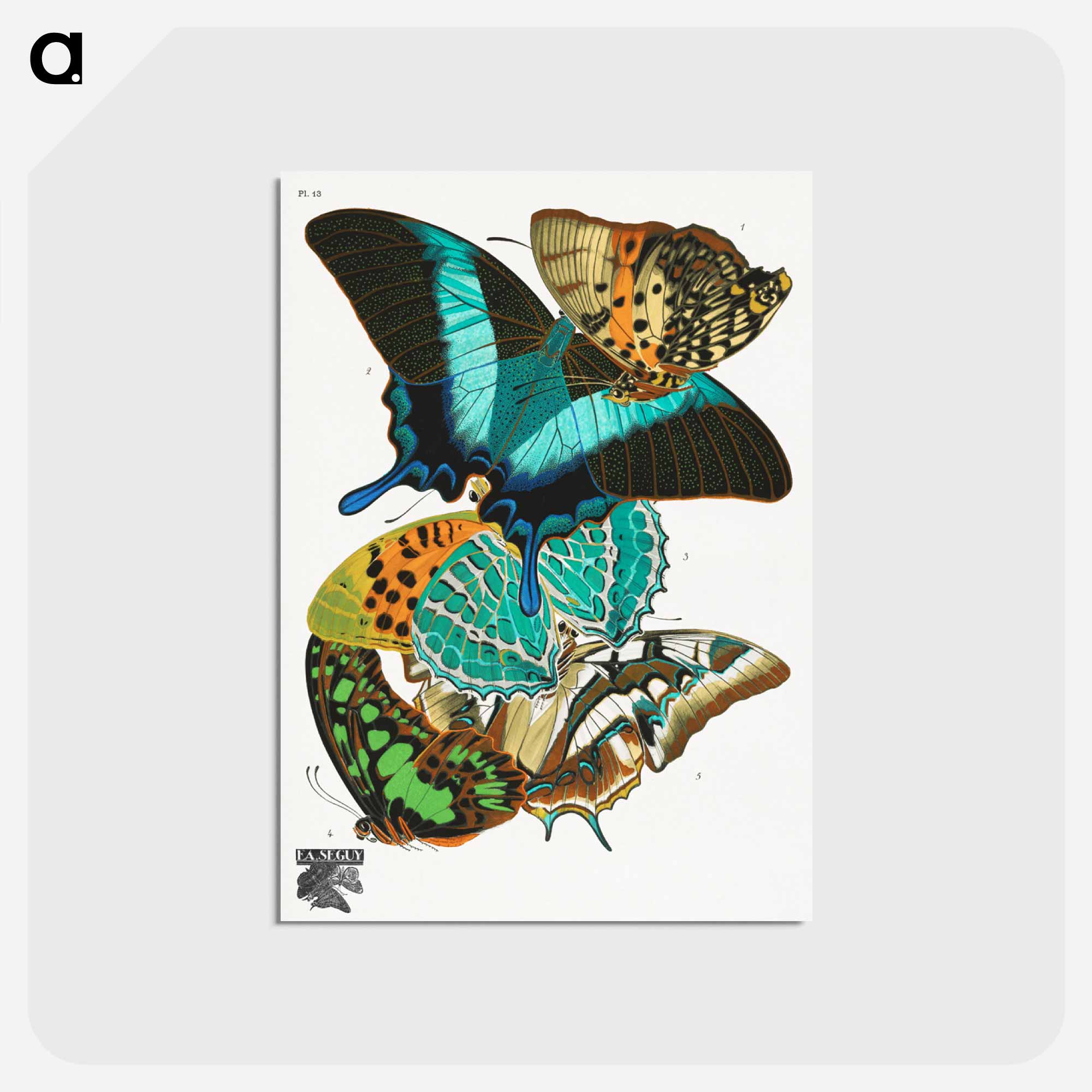 パピヨン「Vintage Butterflies」のポストカード｜artgraph