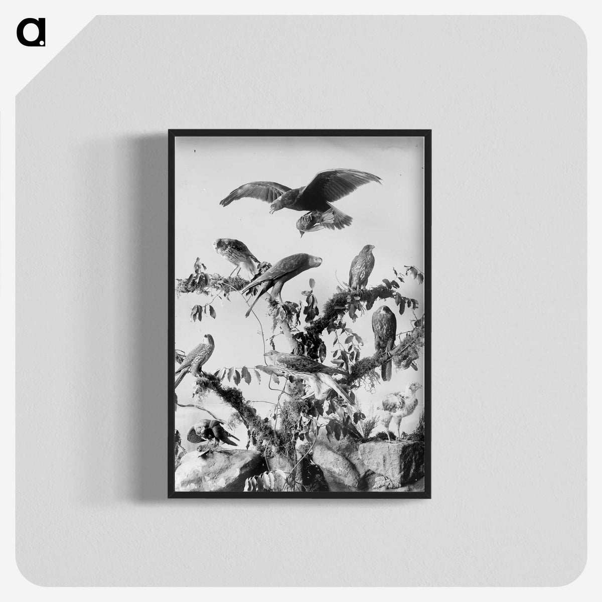 1-8_The-Burton-Brothers_blk-crop