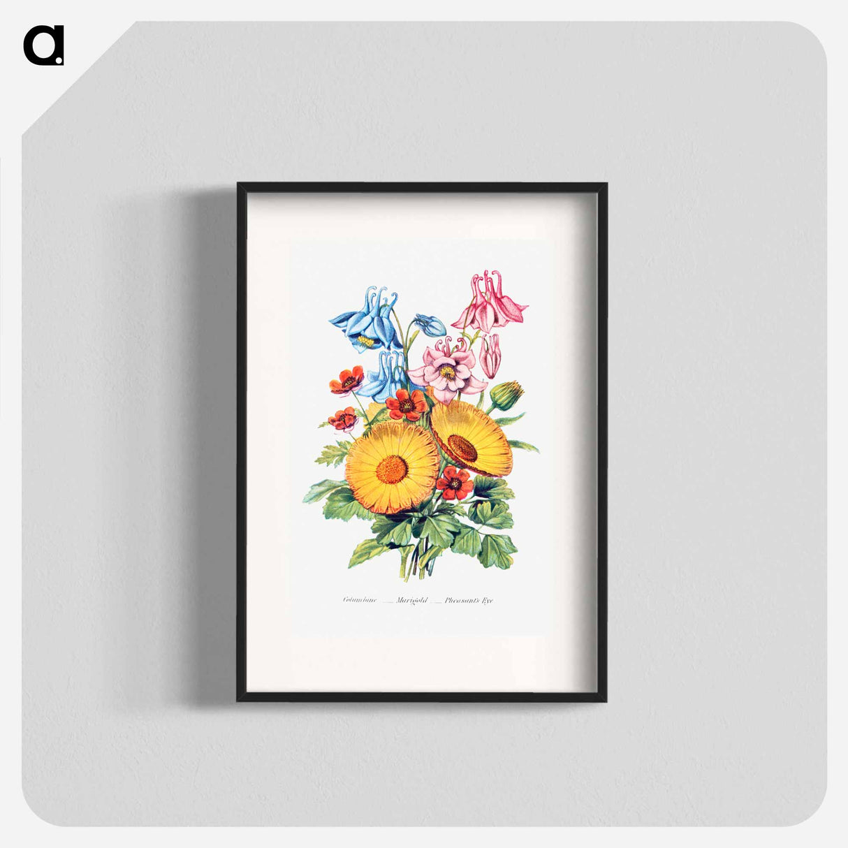アートポスター-Columbine, Marigold and Pheasant's Eye from The Language of Flowers, or, Floral Emblems of Thoughts, Feelings, and Sentiments
- 花言葉 Poster.