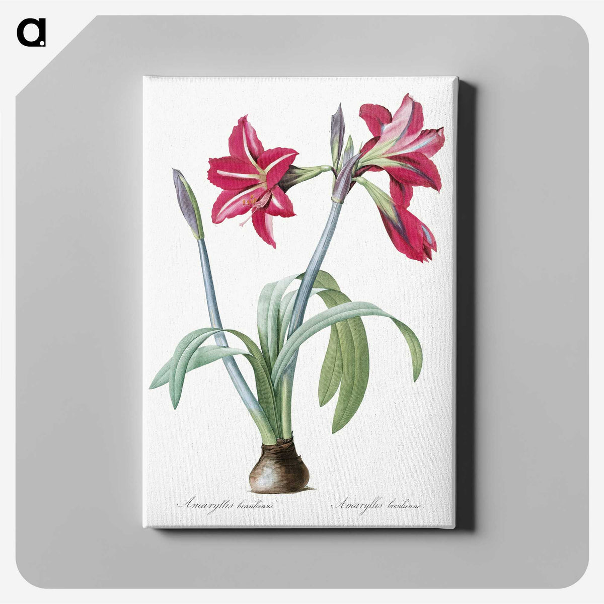 1-8_The-Lilies_canvas