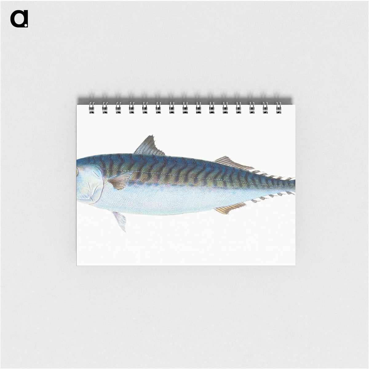 1-8_The-Natural-History-of-British-Fishes_memo