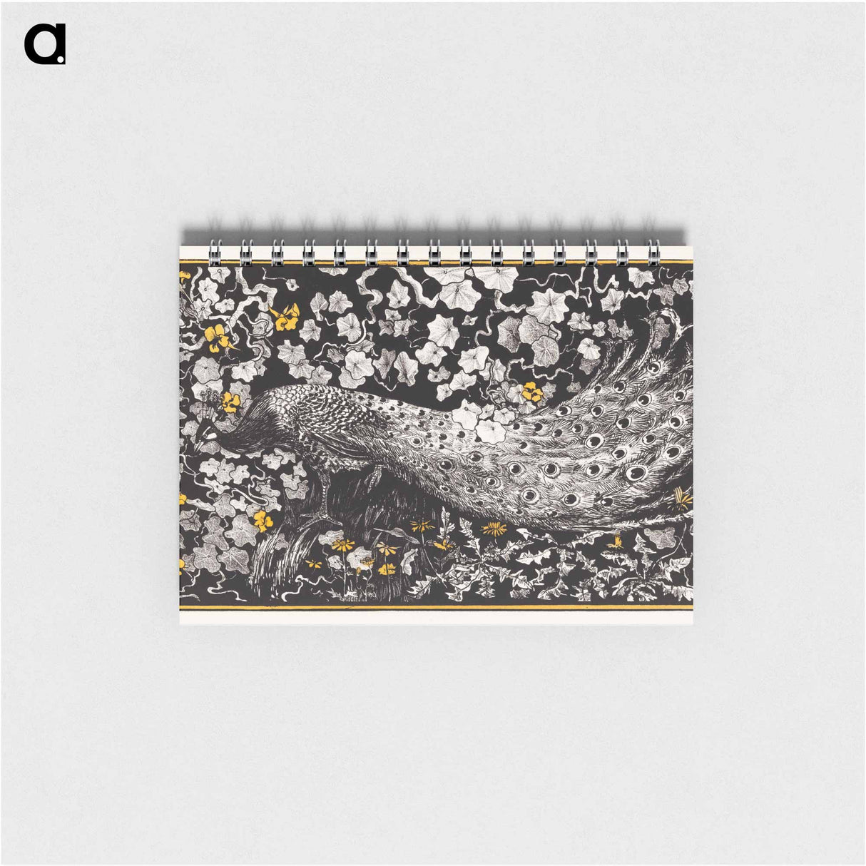 Pauw - テオ ヴァン ホイテマ Memo.