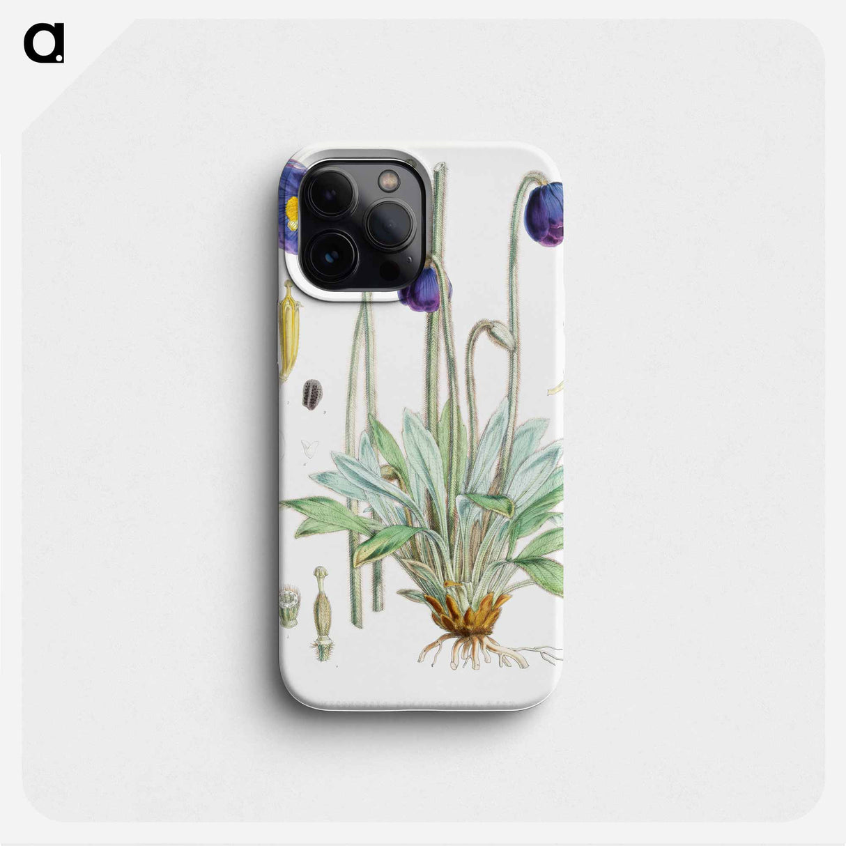 Blue Poppy - Walter Hood Fitch Phone Case.