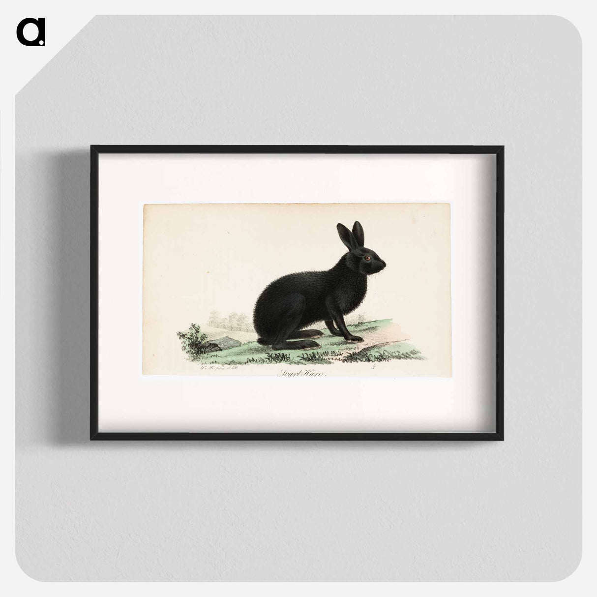 Black hare - Wilhelm von Wright Poster.