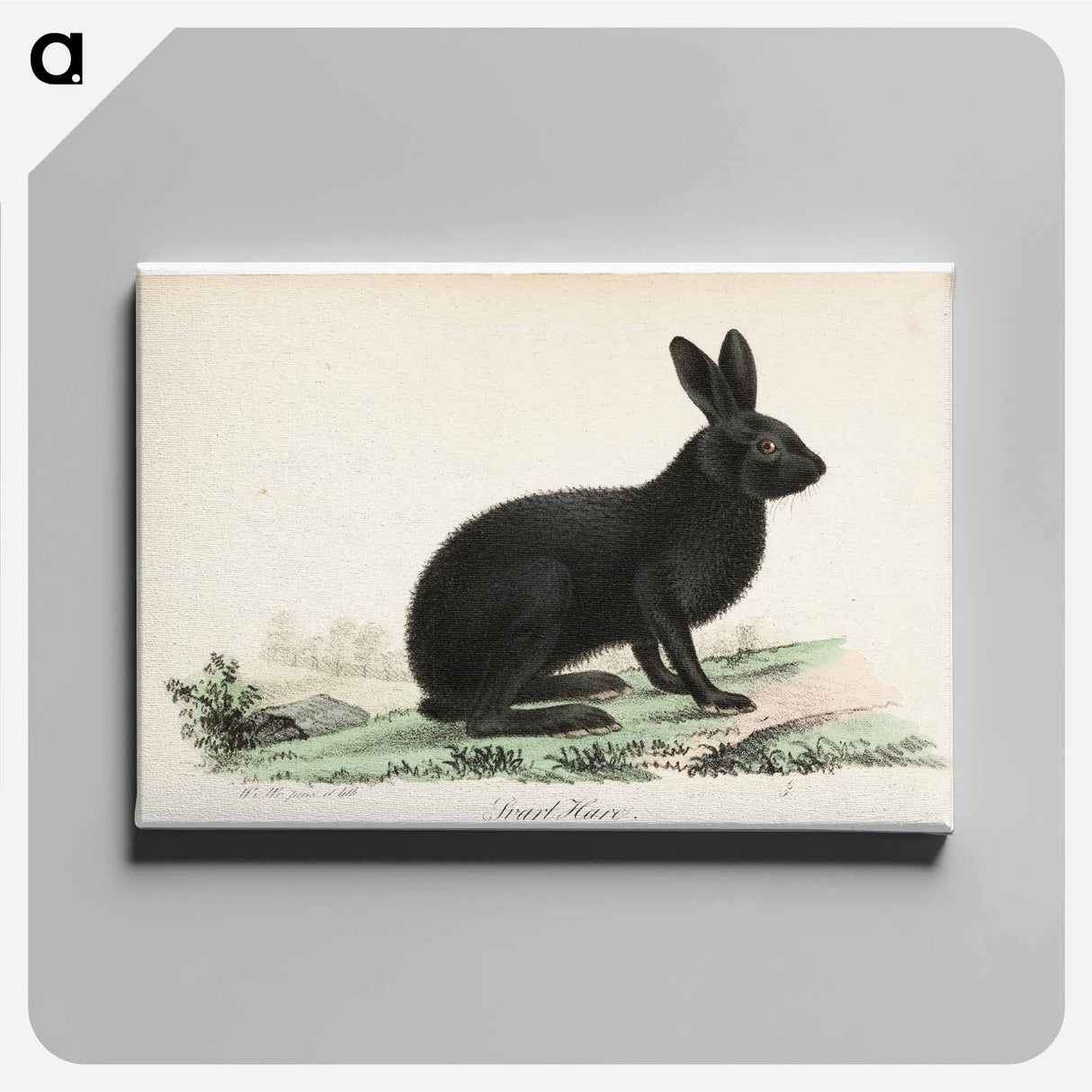 Black hare - ヴィルヘルム フォン ライト Canvas.
