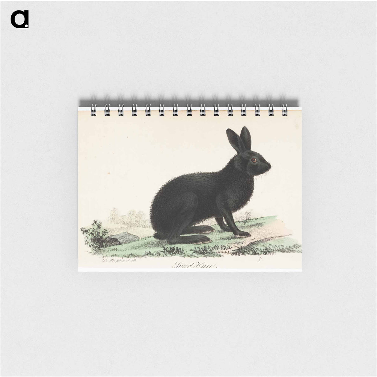 アートメモ帳-Black hare - ヴィルヘルム フォン ライト Memo.