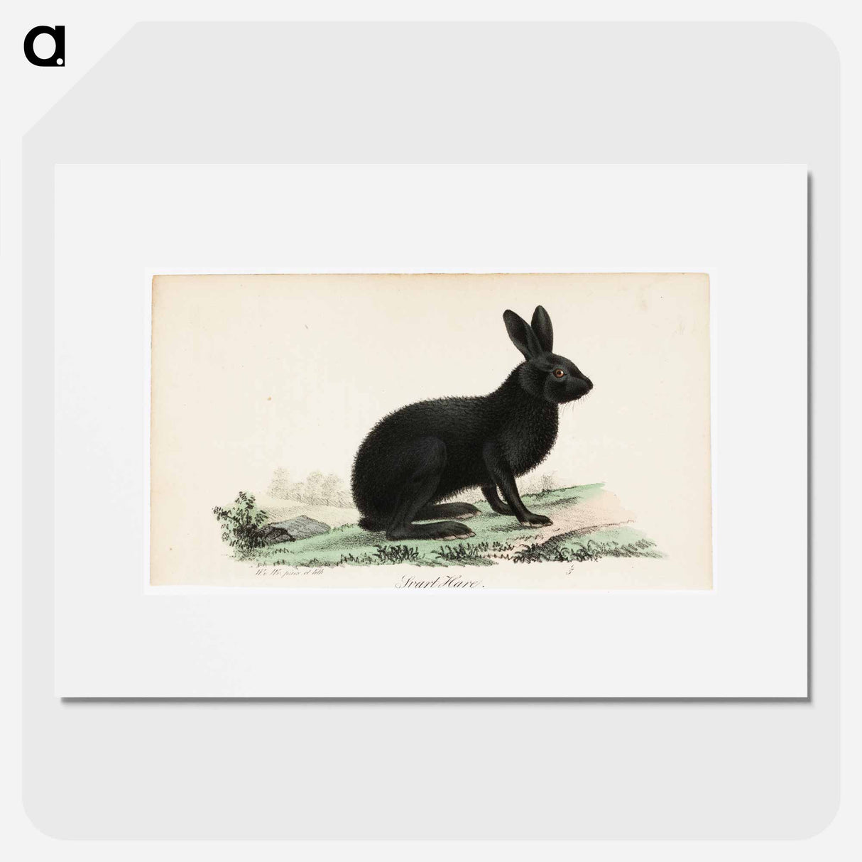 アートポスター-Black hare - ヴィルヘルム フォン ライト Poster.