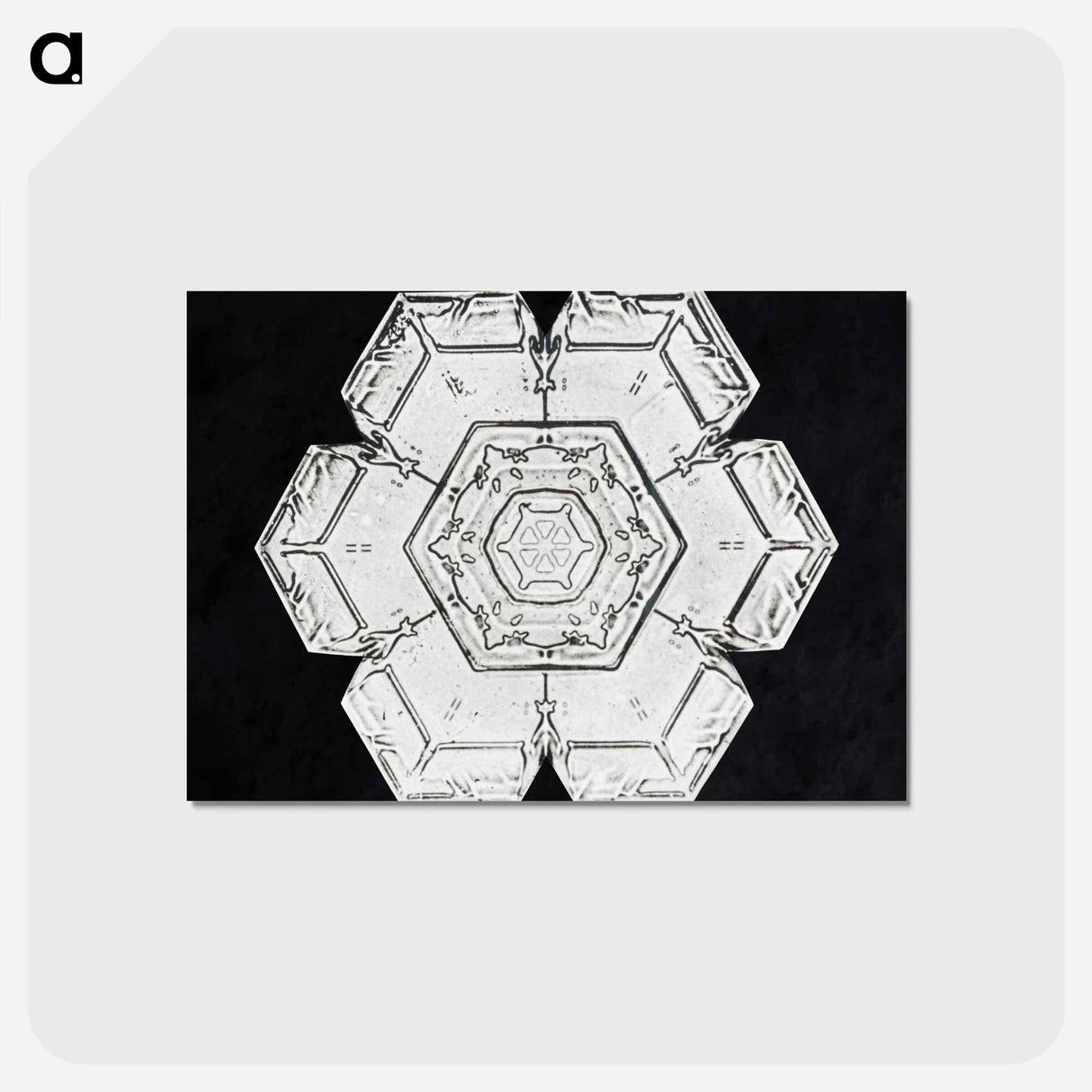アートポストカード-Wilson Bentley's Snowflake 562 - ウィルソン ベントレー Postcard.