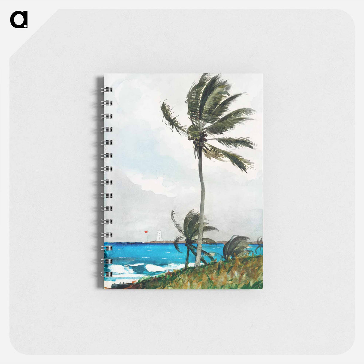 Palm Tree, Nassau - ウィンスロー ホーマー Memo.