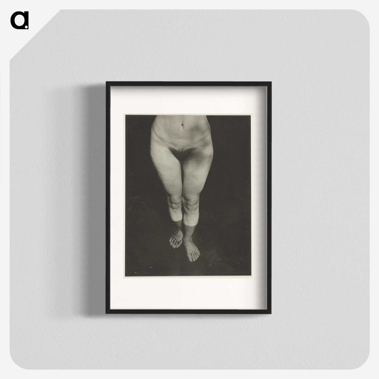 1-90_Alfred-Stieglitz_blk