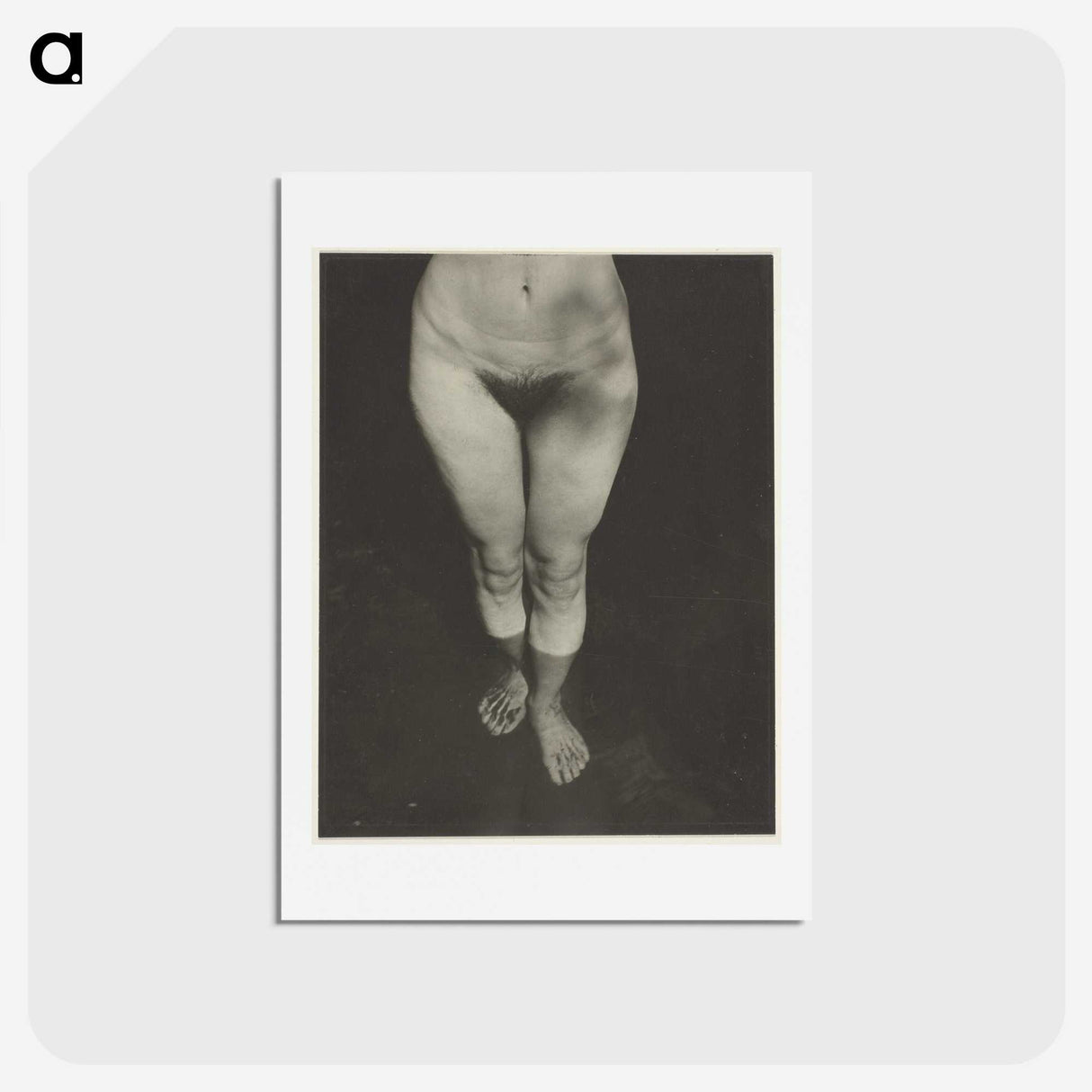 1-90_Alfred-Stieglitz_hagaki