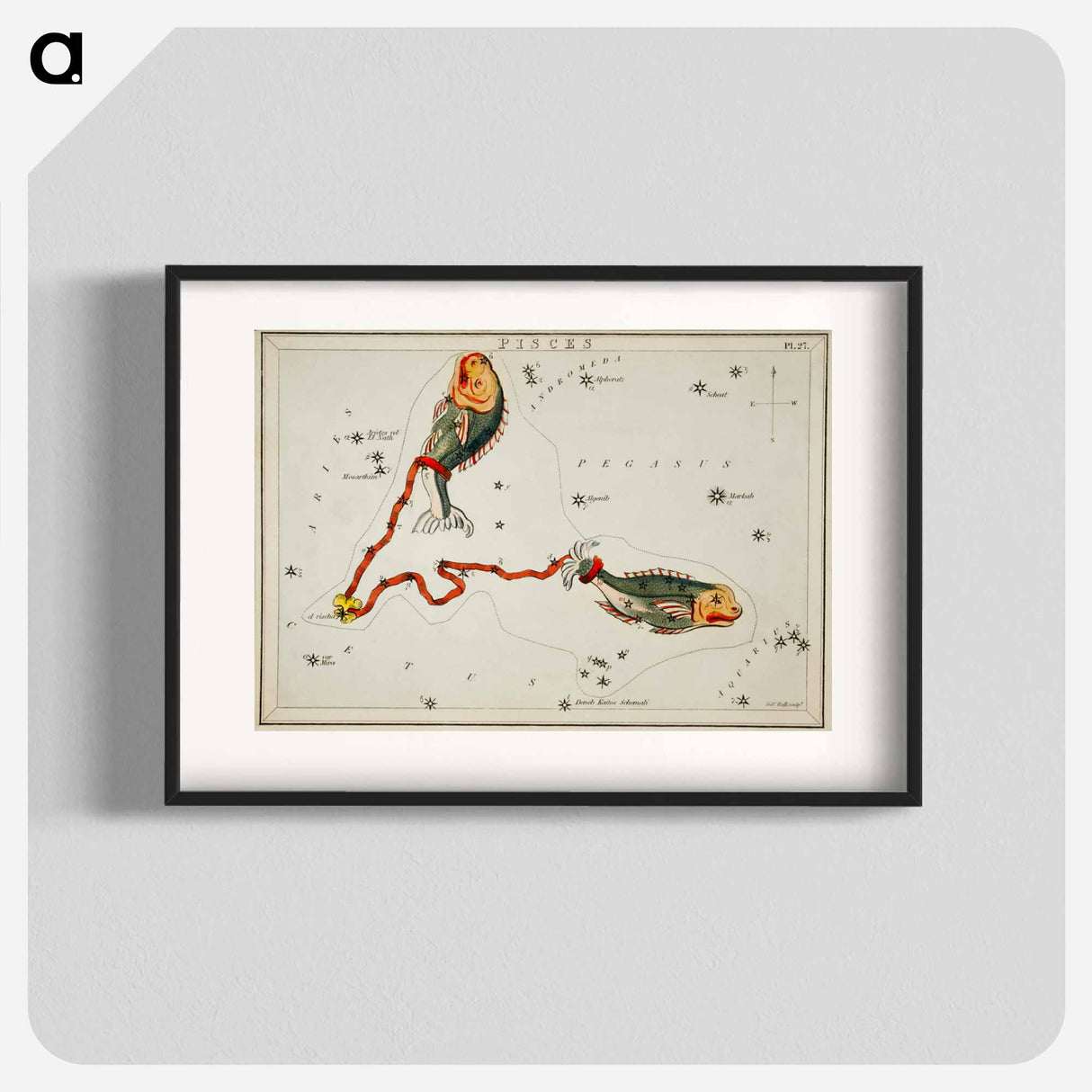Sidney Hall’s astronomical chart illustration of the Pisces - アンティーク地図 Poster.
