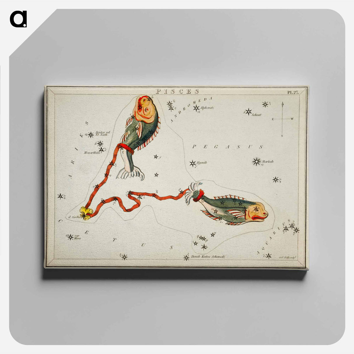 Sidney Hall’s astronomical chart illustration of the Pisces - アンティーク地図 Canvas.