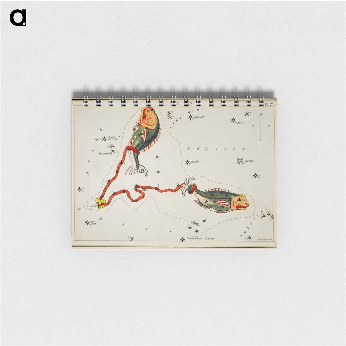 Sidney Hall’s astronomical chart illustration of the Pisces - アンティーク地図 Memo.
