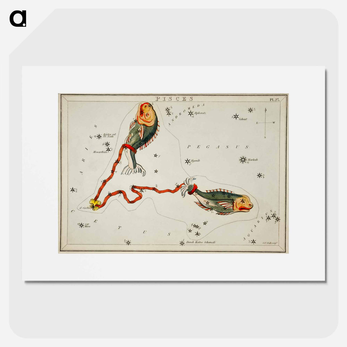 Sidney Hall’s astronomical chart illustration of the Pisces - アンティーク地図 Poster.