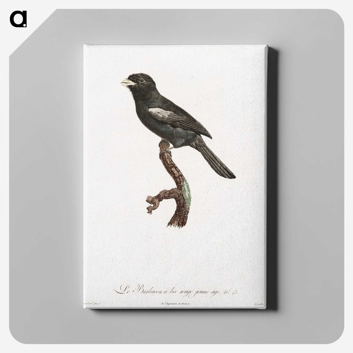 1-90_Des-Oiseaux-de-Paradis_canvas