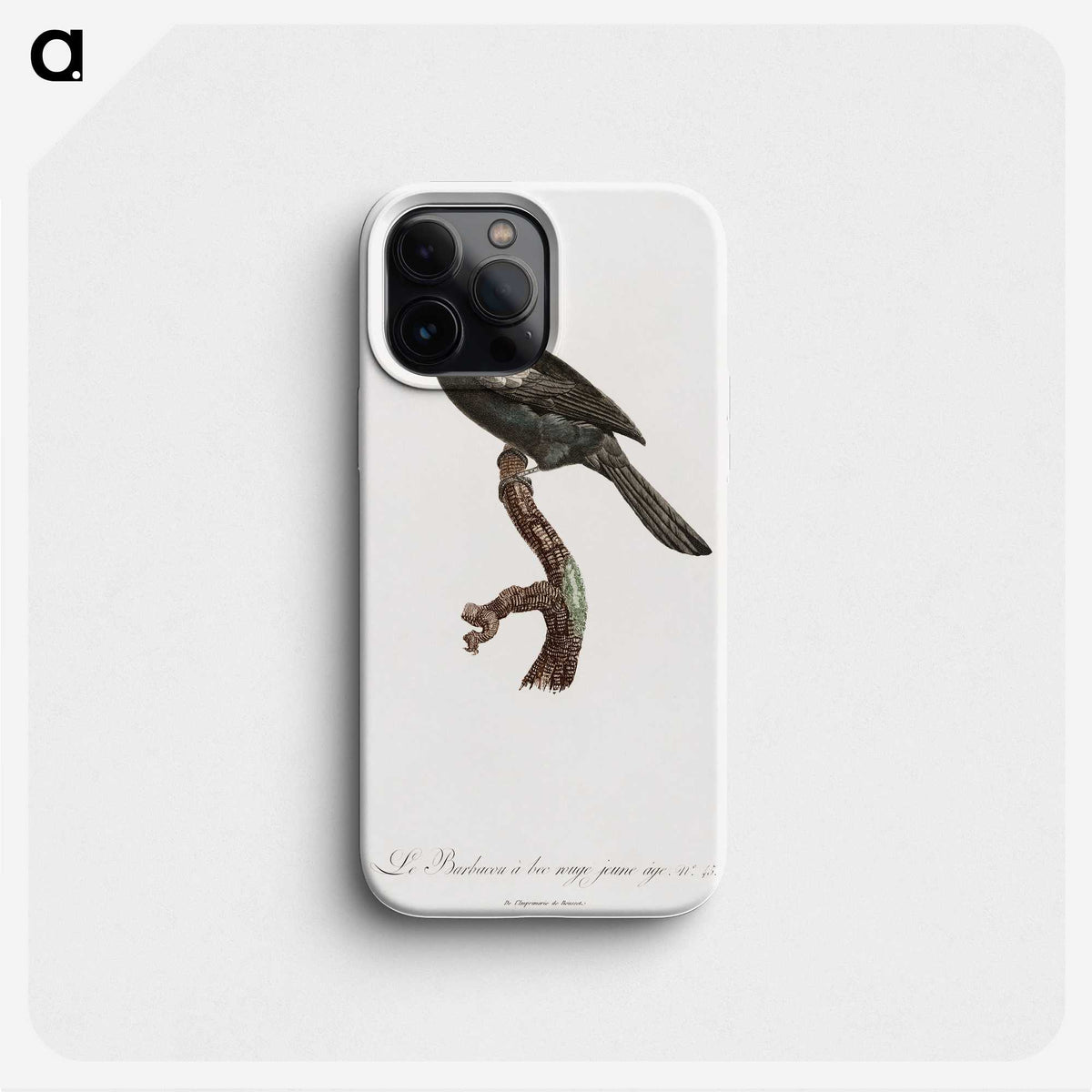 1-90_Des-Oiseaux-de-Paradis_phone