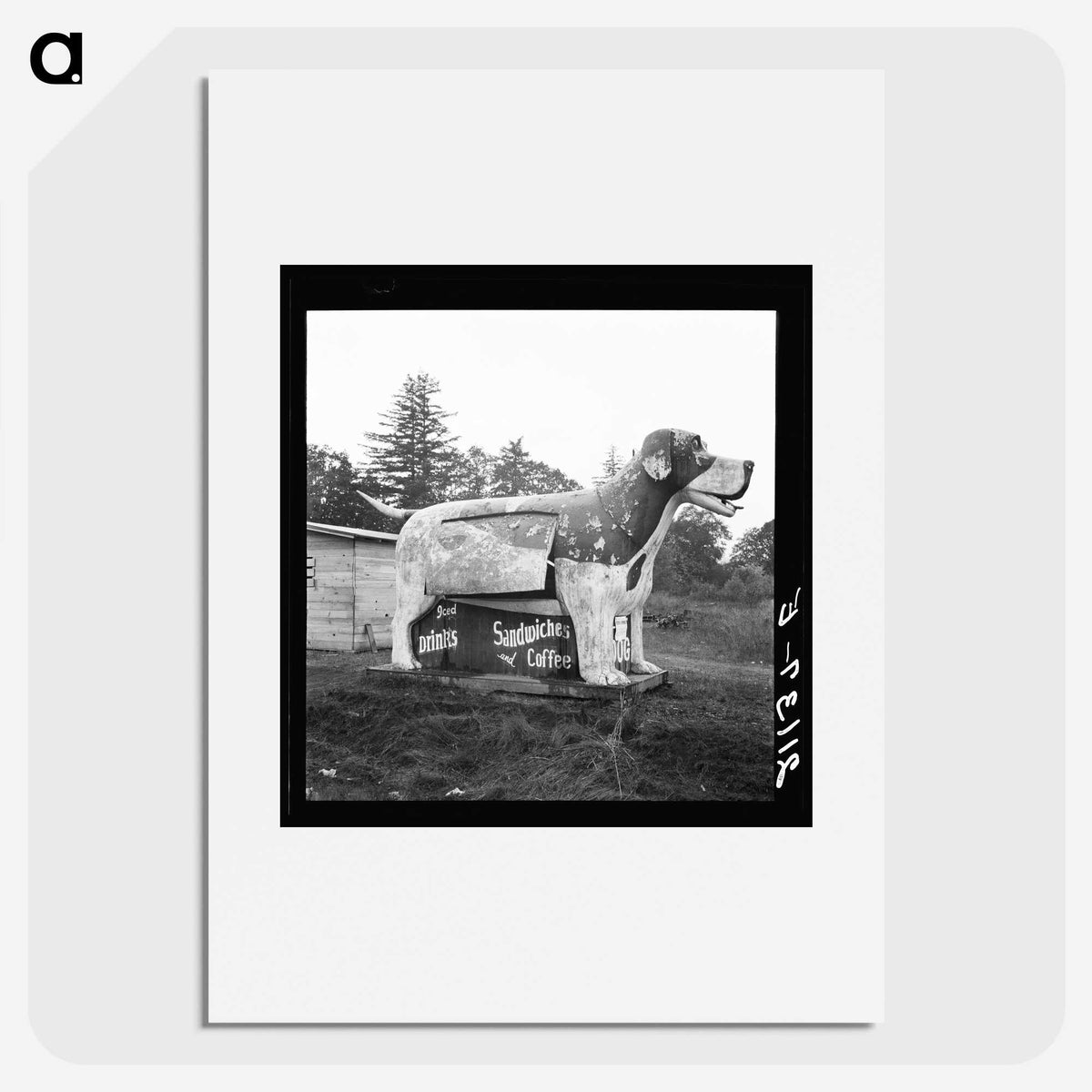 1-90_Dorothea-Lange_picture