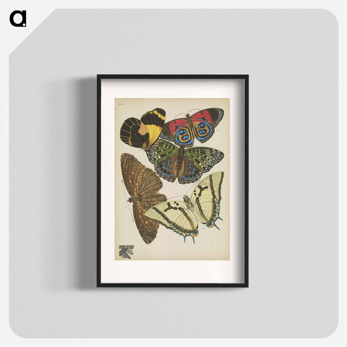 E.A. Séguy's vintage butterflies insect illustration - E.A.セギー Poster.