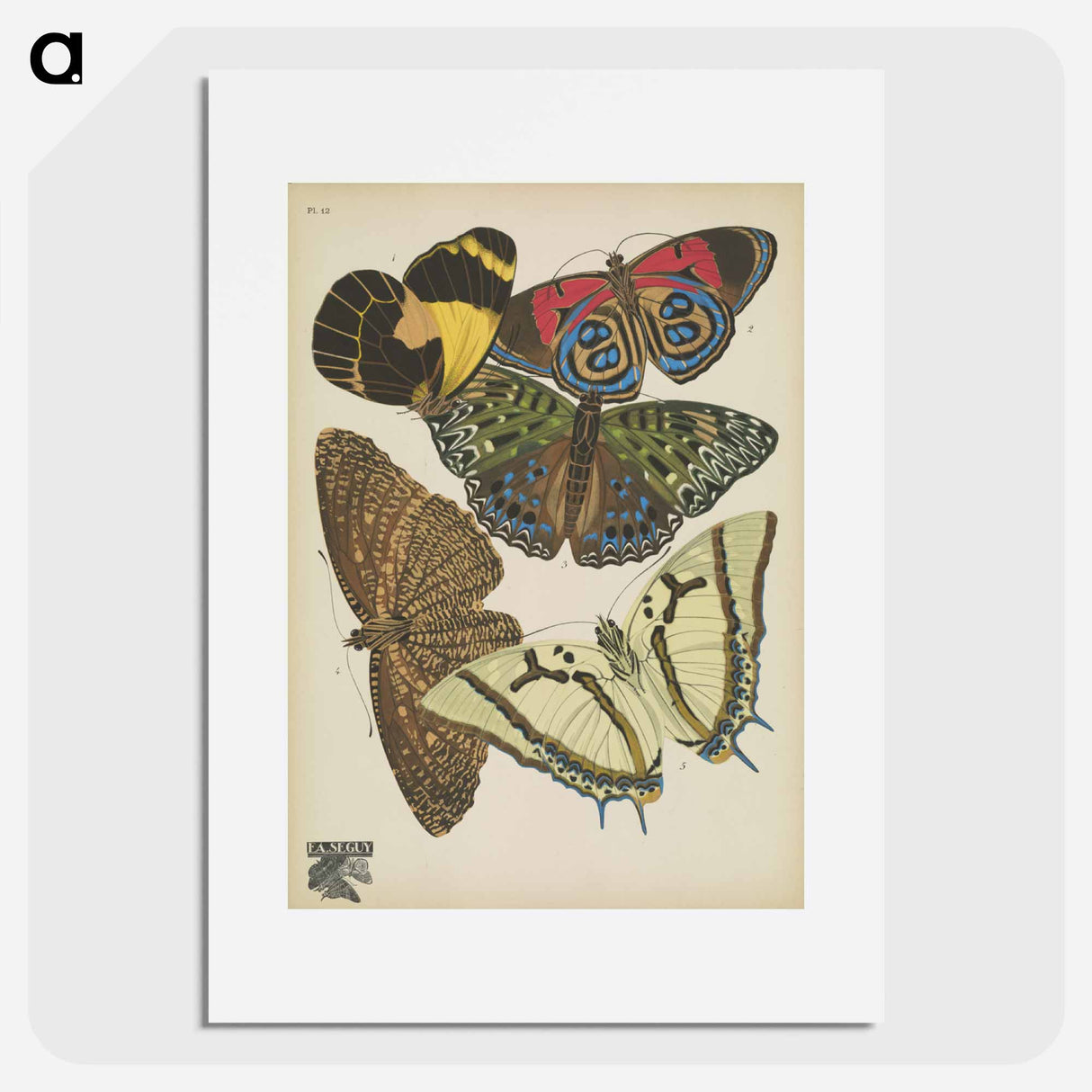E.A. Séguy's vintage butterflies insect illustration - E.A.セギー Poster.