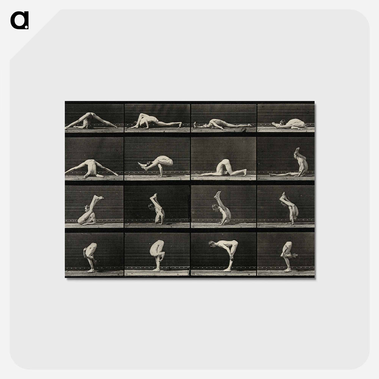 アートポストカード-Acrobatic Contortions
- エドワード マイブリッジ Postcard.