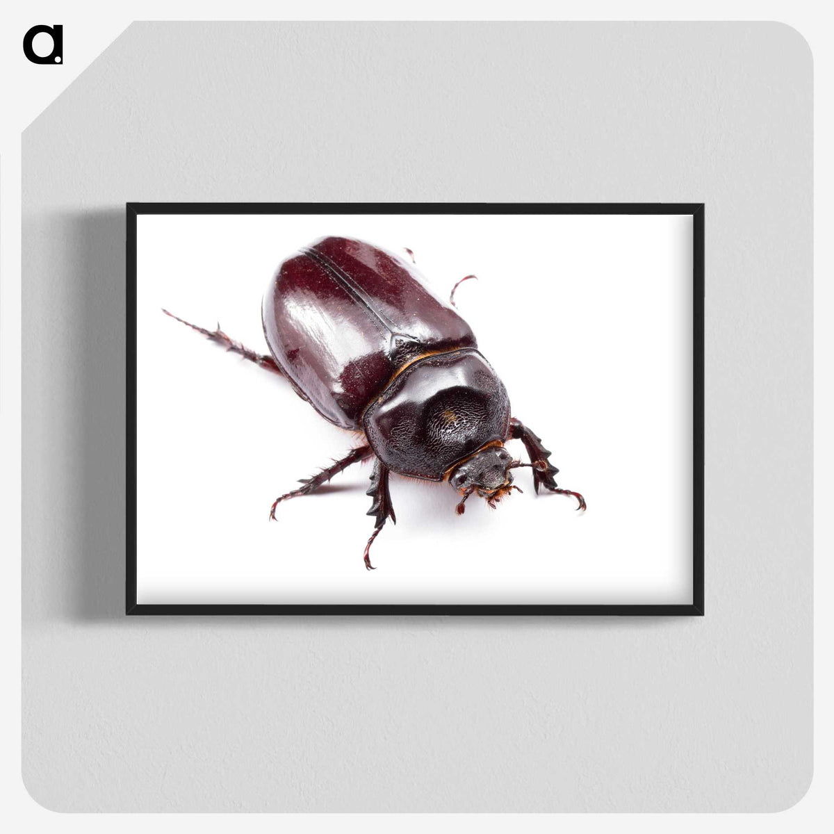 1-90_Insects-Unlocked-Project_blk-crop