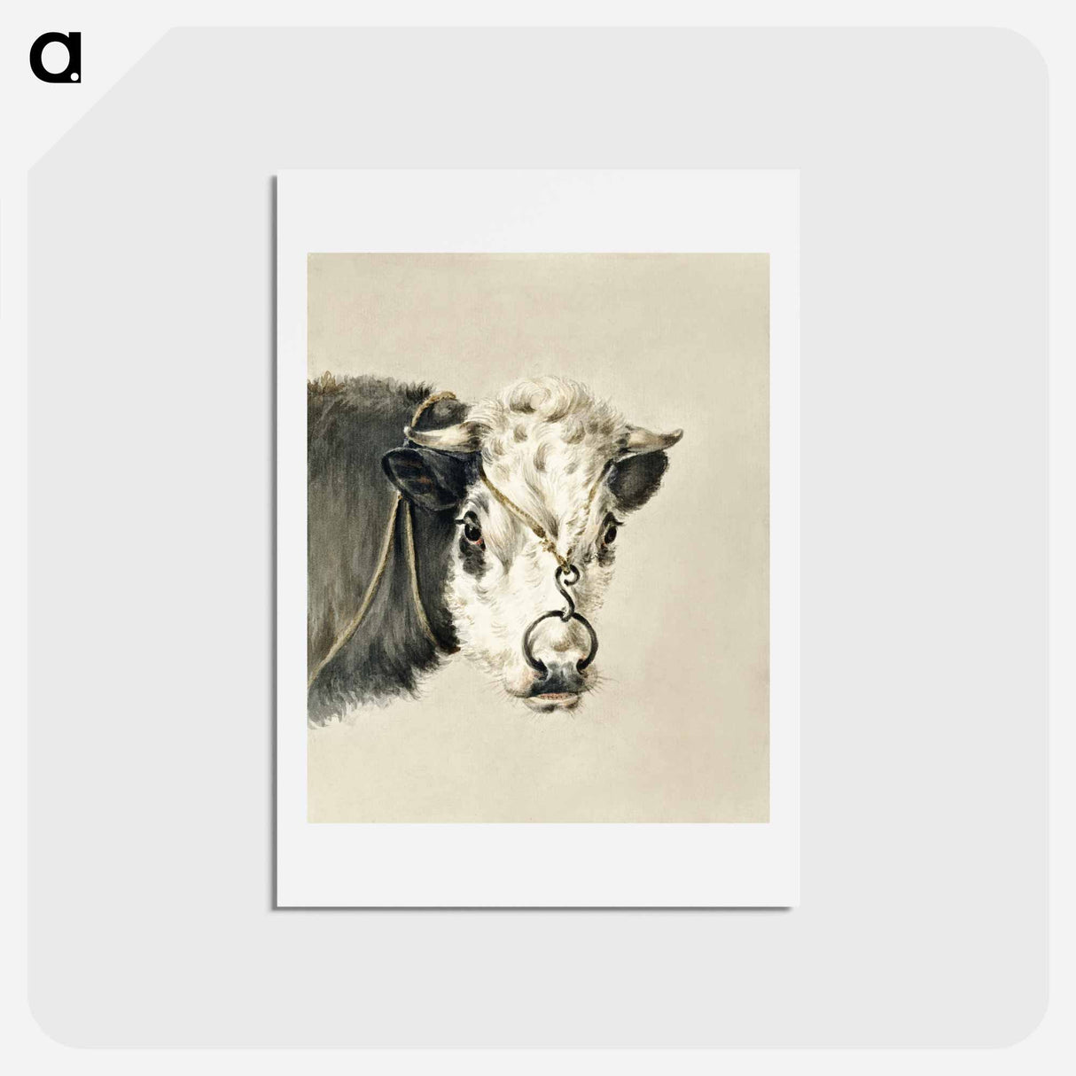 アートポストカード-Head of a cow, with a ring through the nose - ジャン ベルナール Postcard.