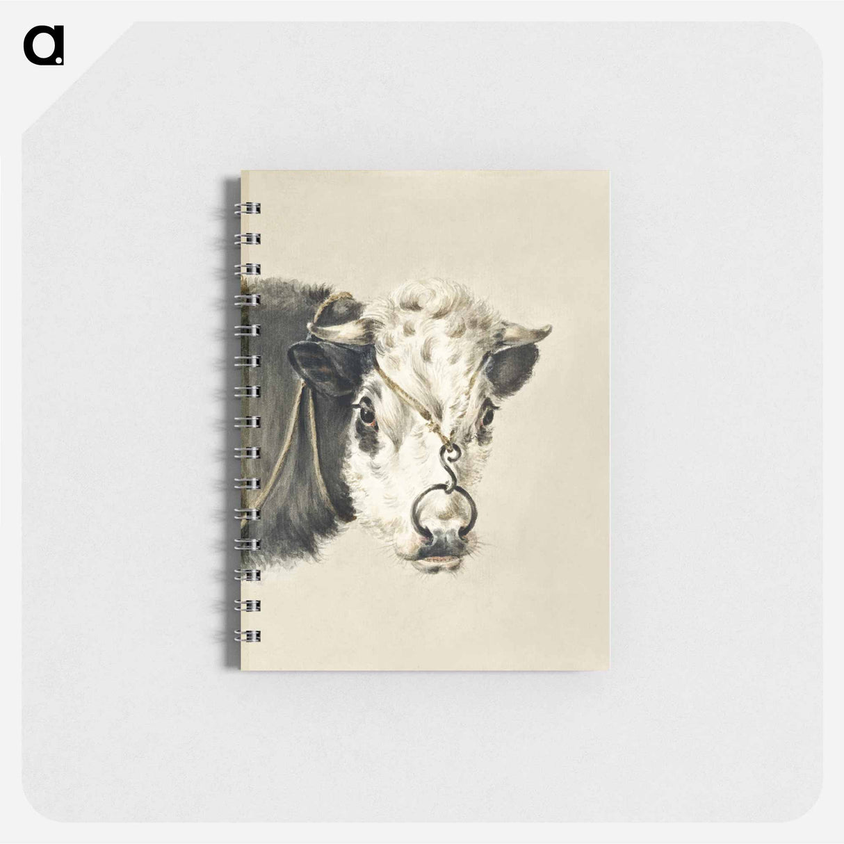 Head of a cow, with a ring through the nose - ジャン ベルナール Memo.