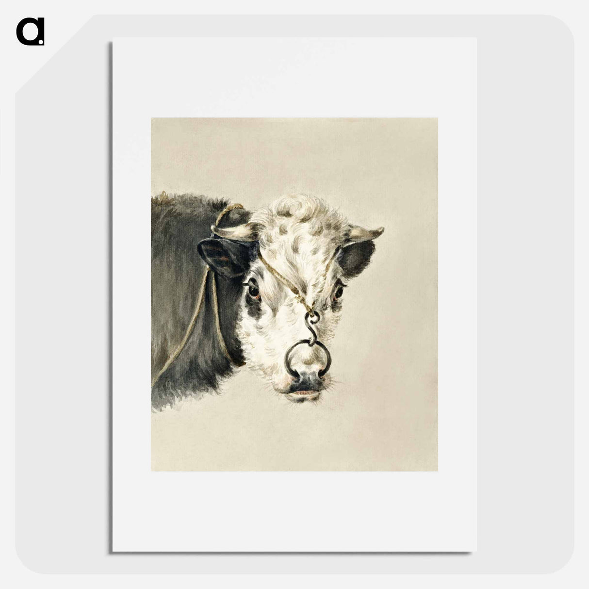Head of a cow, with a ring through the nose - ジャン ベルナール Poster.