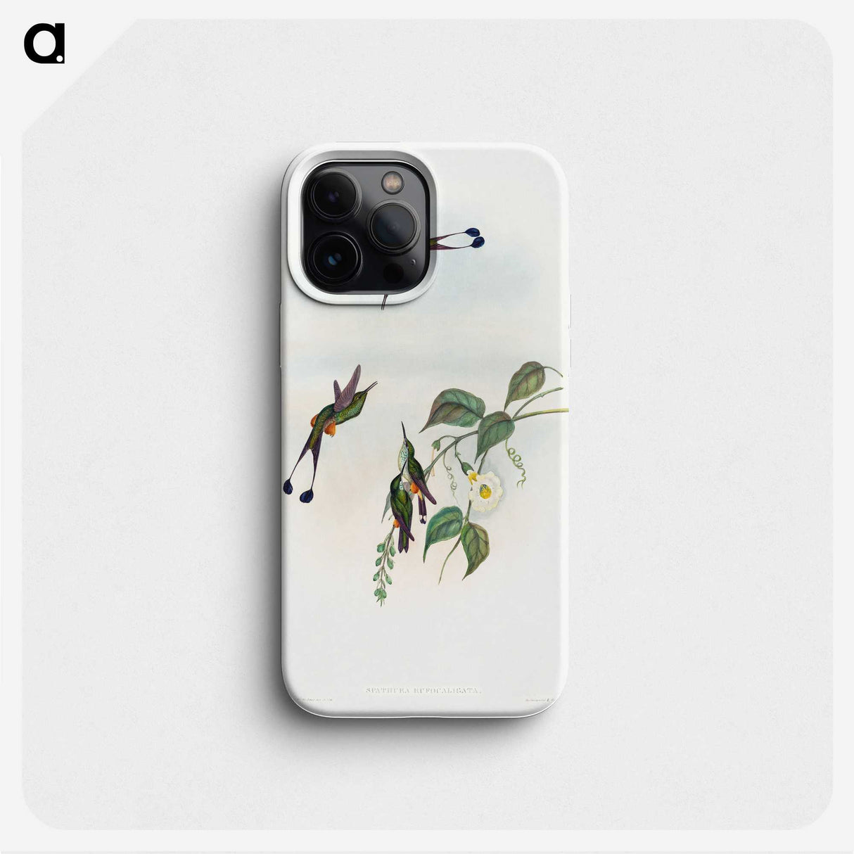 1-90_John-Gould_phone