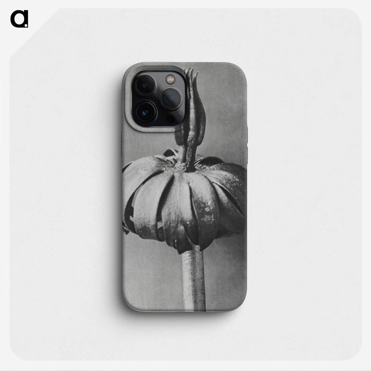 1-90_Karl-Blossfeldt_phone