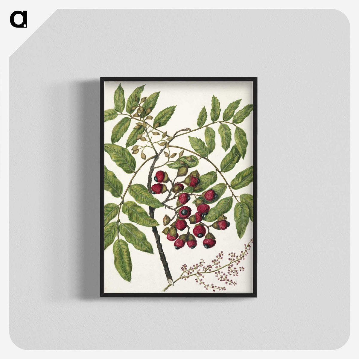 1-90_Native-Flowering-Plants-of-New-Zealand_blk-crop