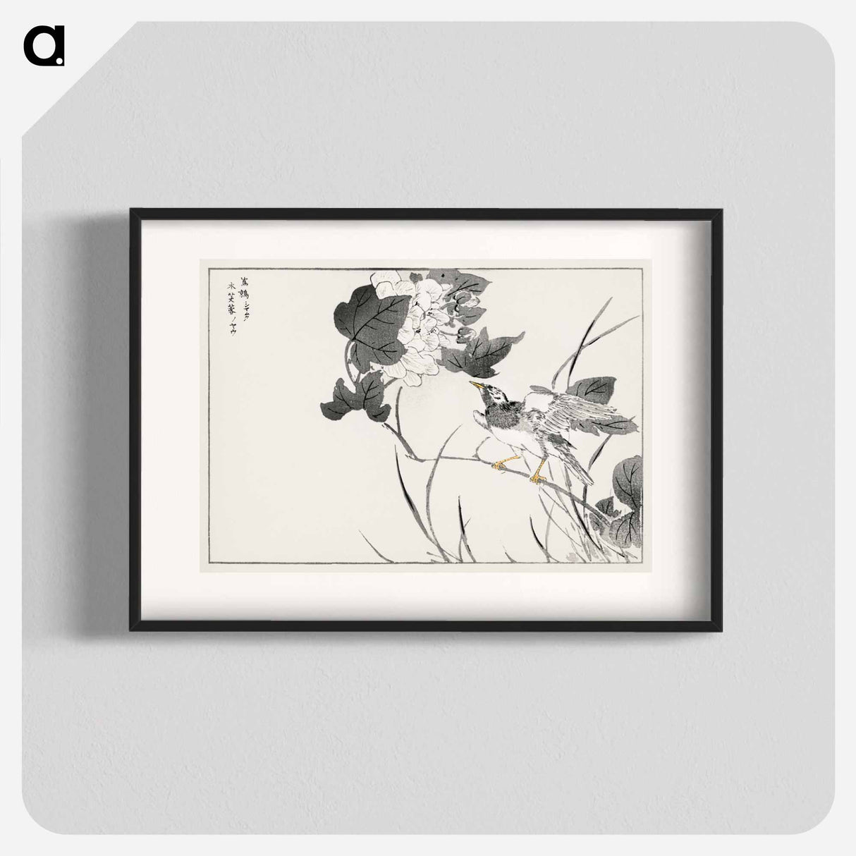 アートポスター-Grey Starling and Lotus
- 鳥類図鑑 Poster.