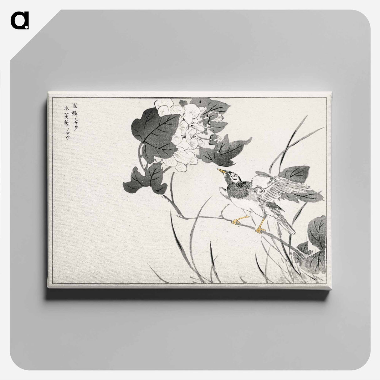 アートパネル-Grey Starling and Lotus
- 鳥類図鑑 Canvas.
