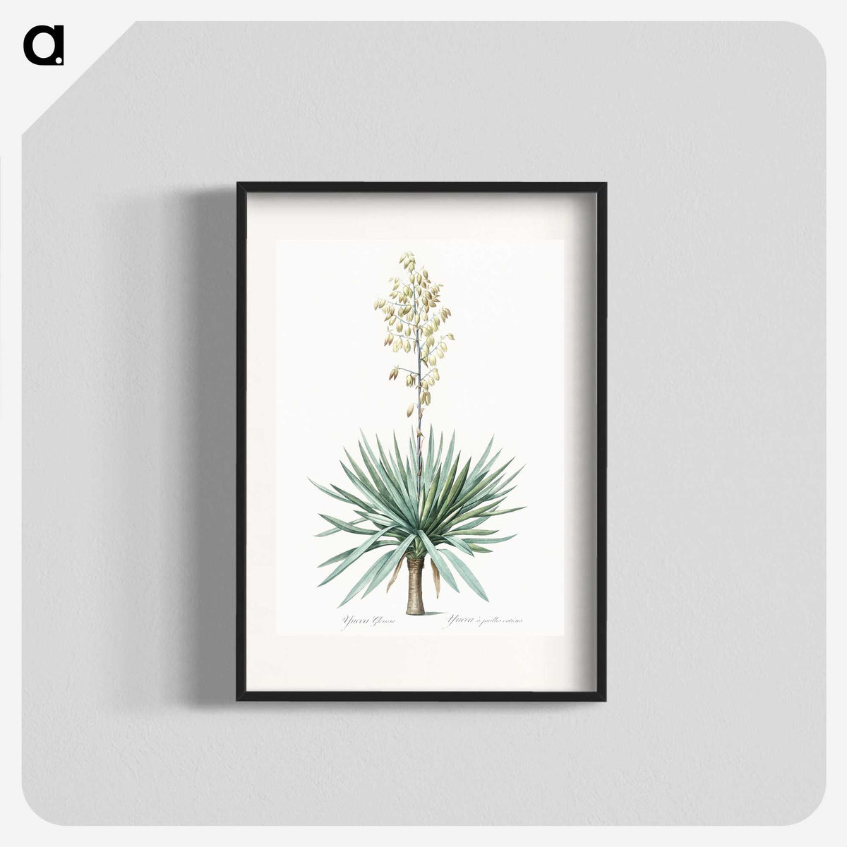 1-90_The-Lilies_blk