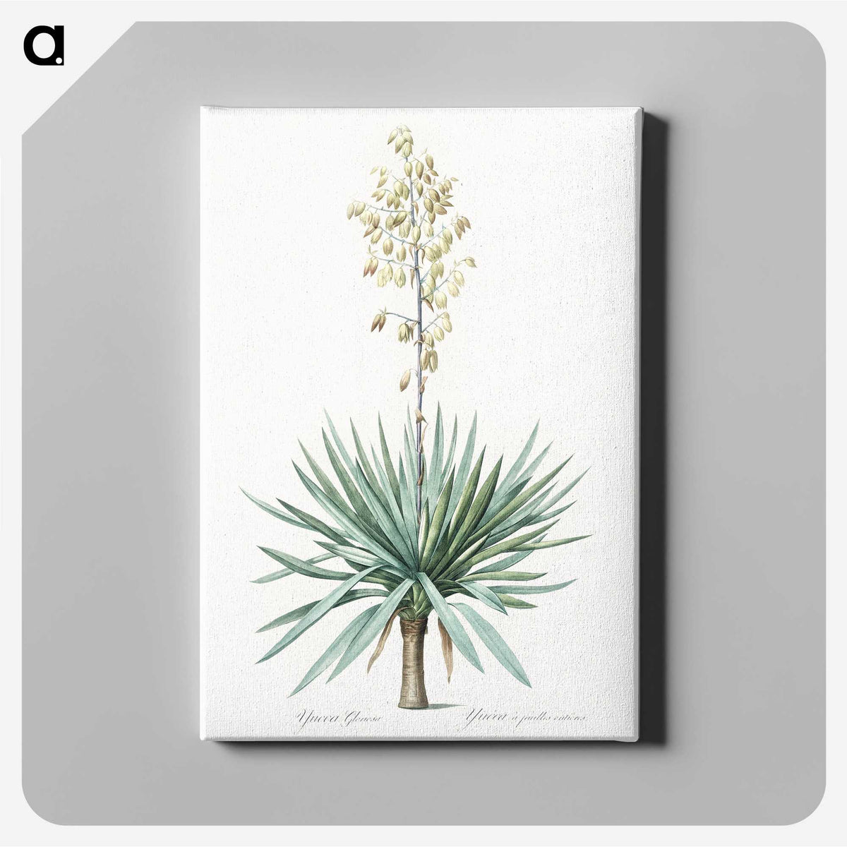 1-90_The-Lilies_canvas