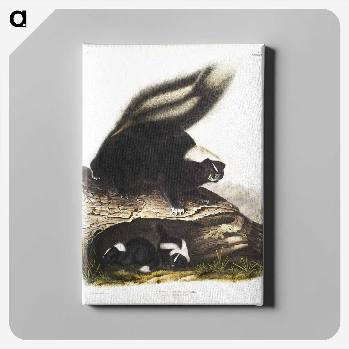 1-90_The-Viviparous-Quadrupeds_canvas