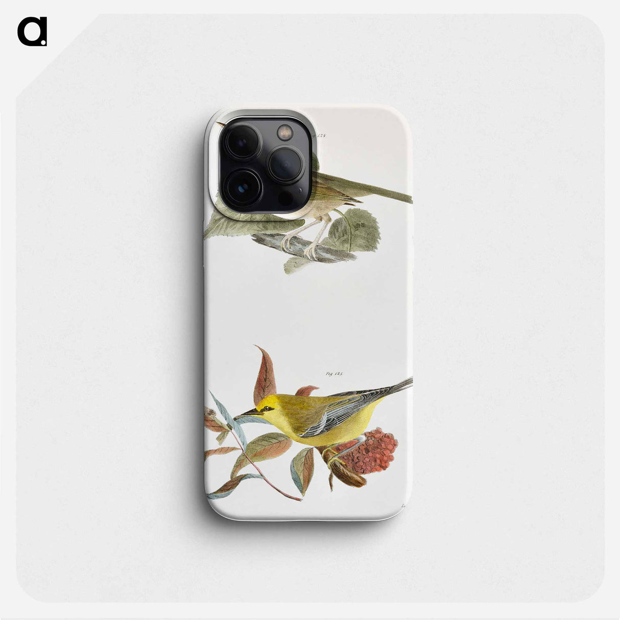 The Wormeating Warbler (Vermivora pensylvanica) The Blue-winged Warbler (Vermivora solitaria) - ニューヨークの動物学 Phone Case.