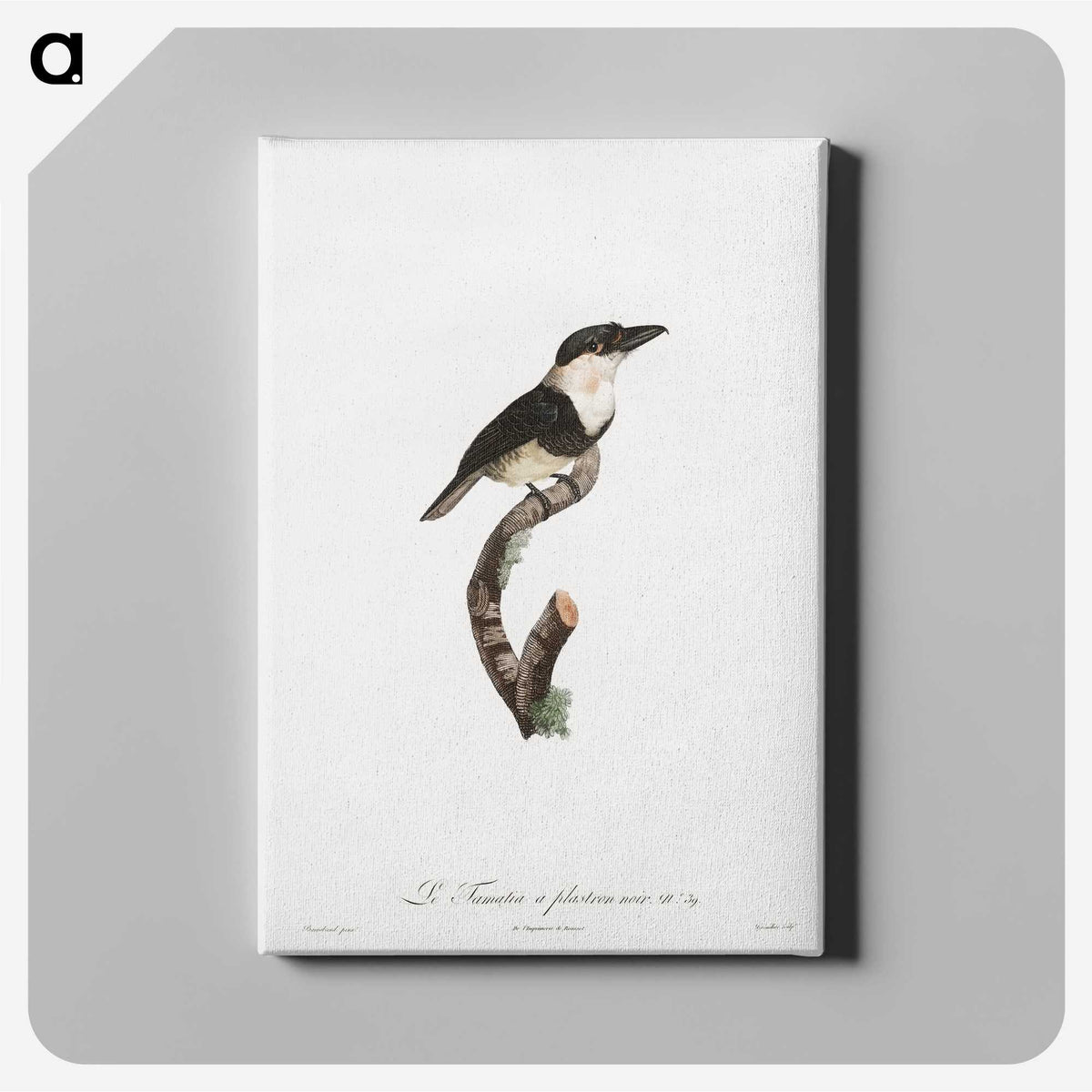 1-91_Des-Oiseaux-de-Paradis_canvas