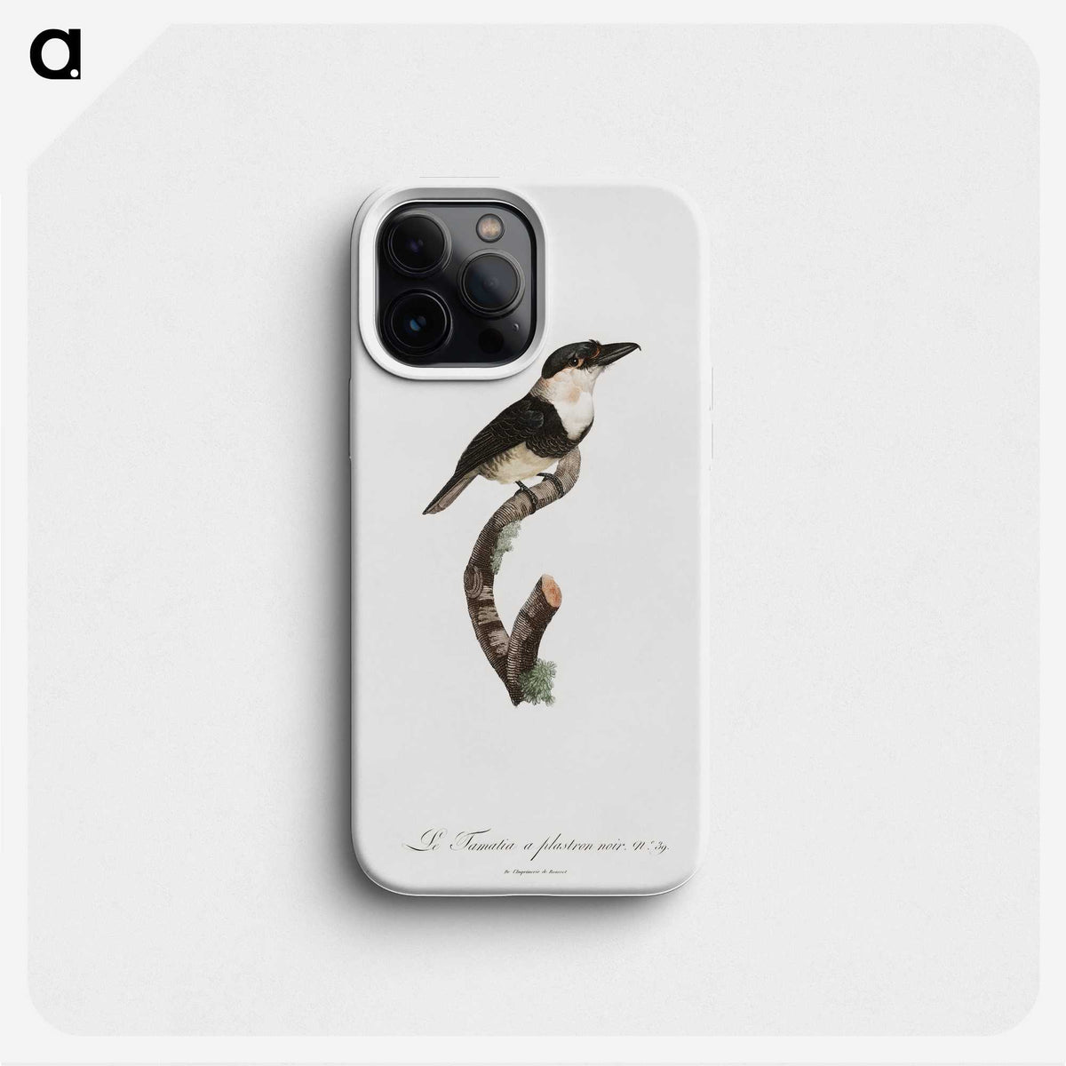 1-91_Des-Oiseaux-de-Paradis_phone