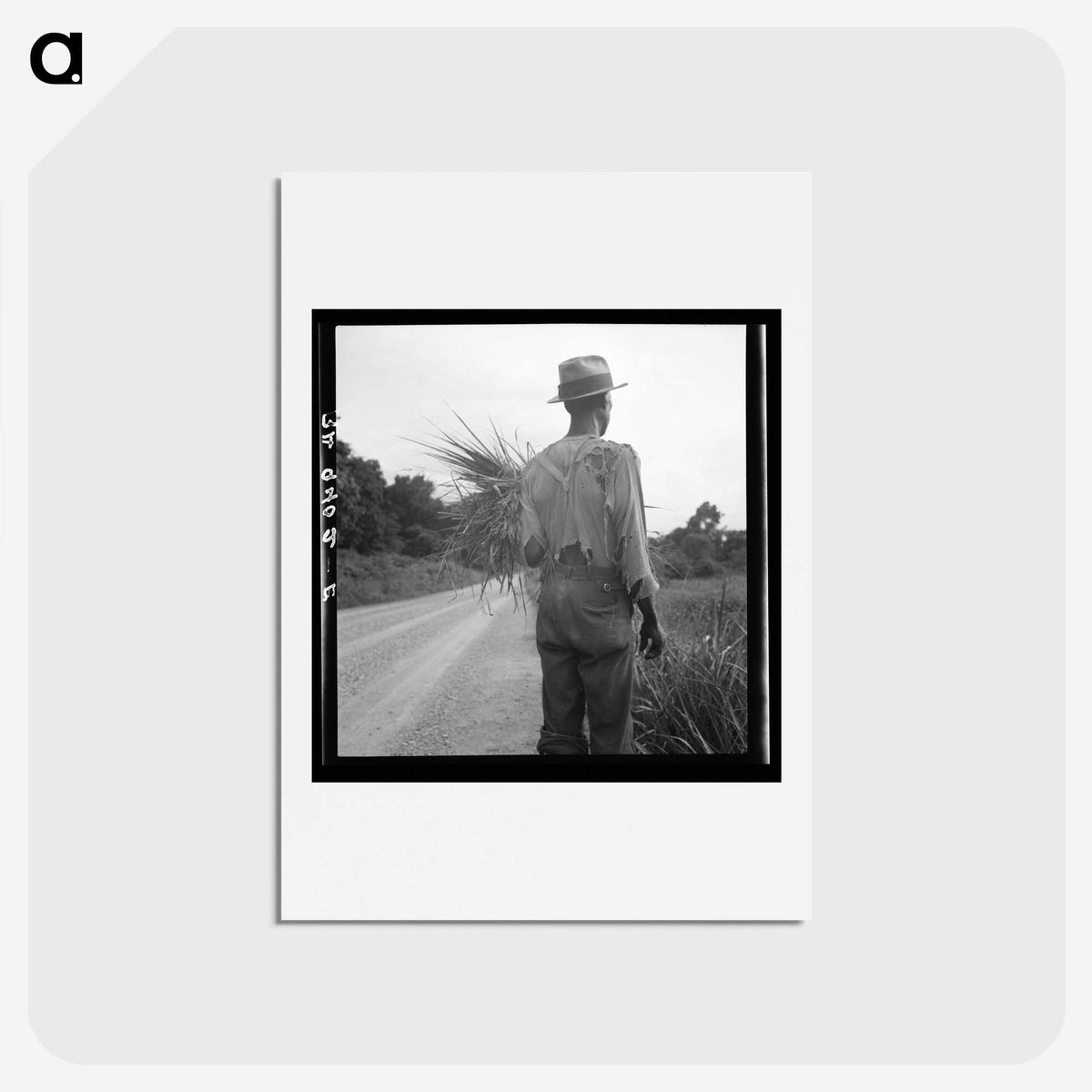 1-91_Dorothea-Lange_hagaki