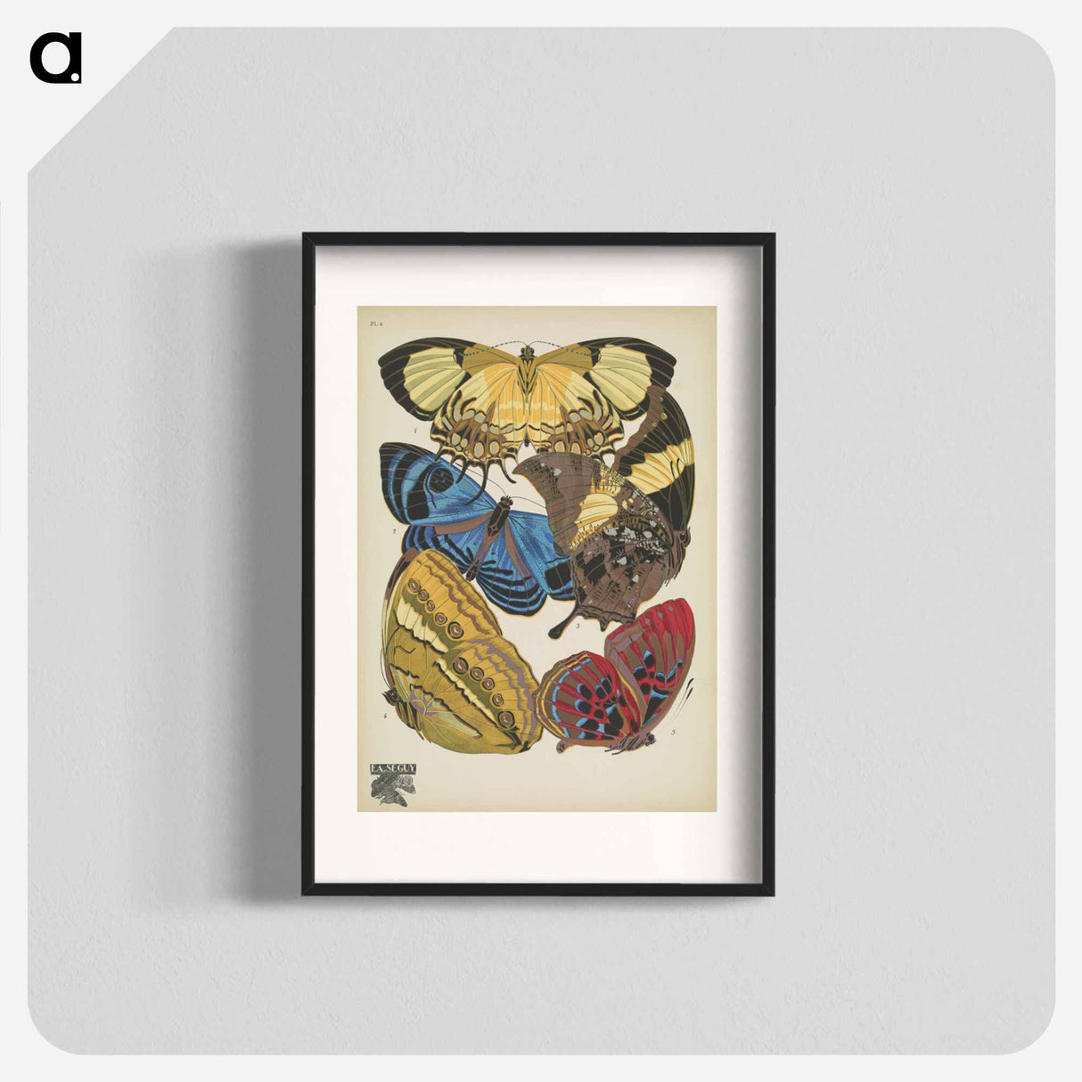 E.A. Séguy's vintage butterflies insect illustration - E.A.セギー Poster.