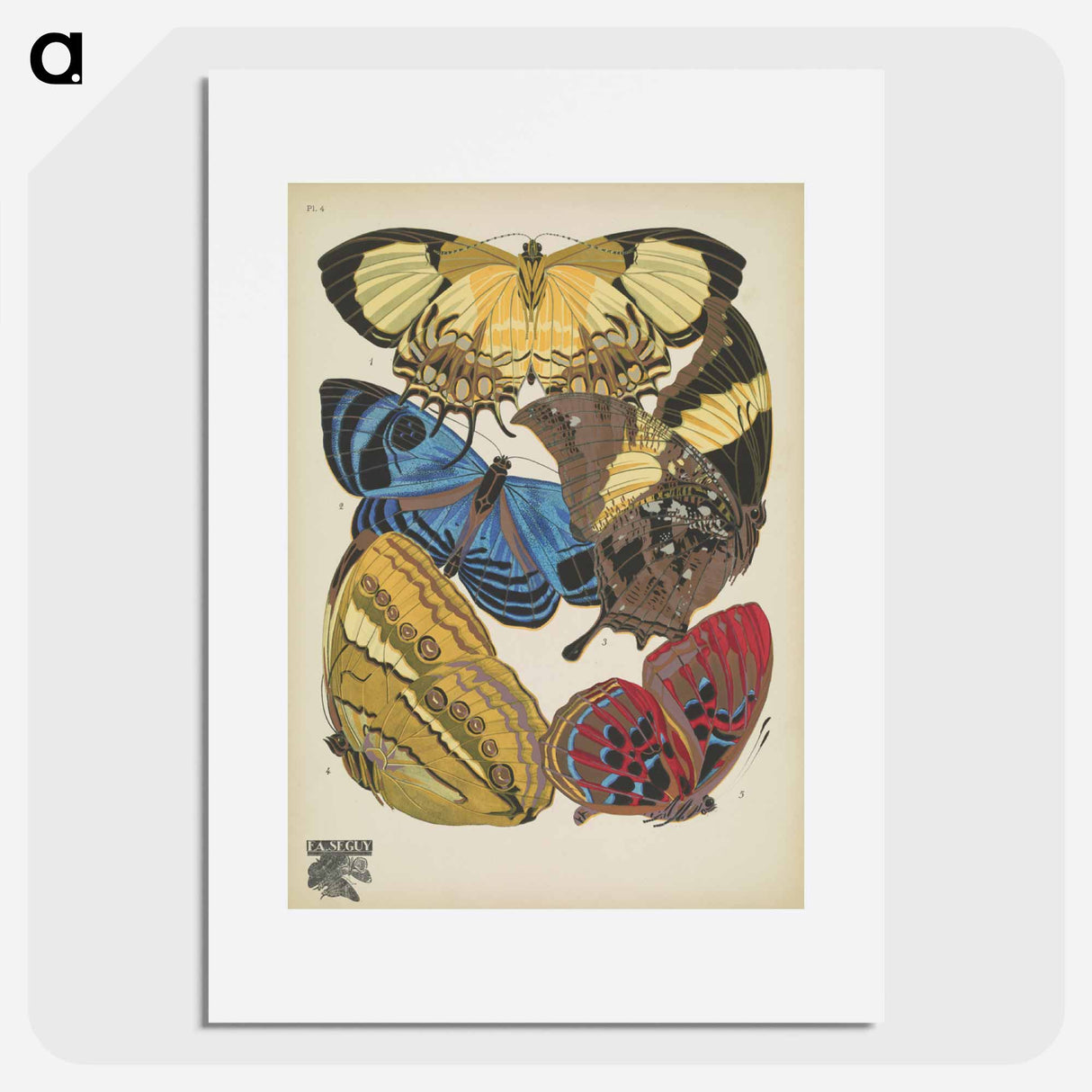 E.A. Séguy's vintage butterflies insect illustration - E.A.セギー Poster.