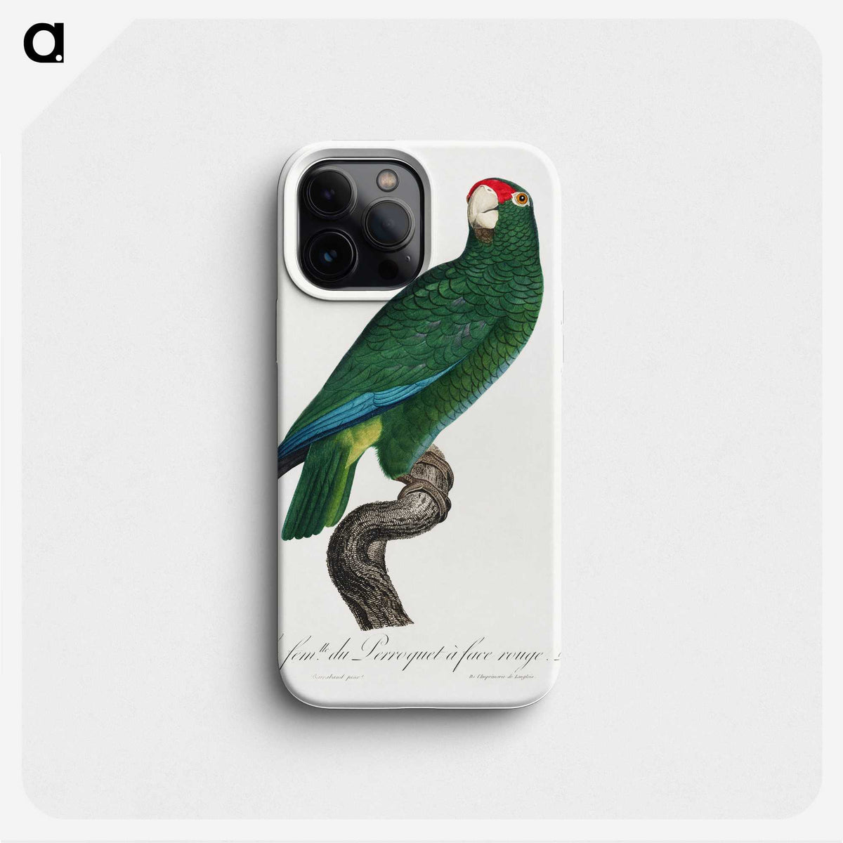 1-91_Francois-Levaillant_phone