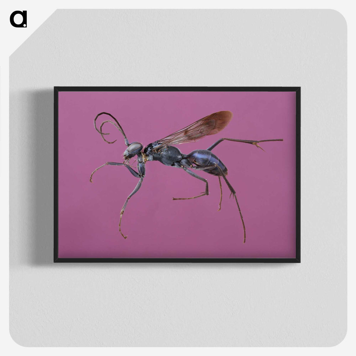 1-91_Insects-Unlocked-Project_blk-crop
