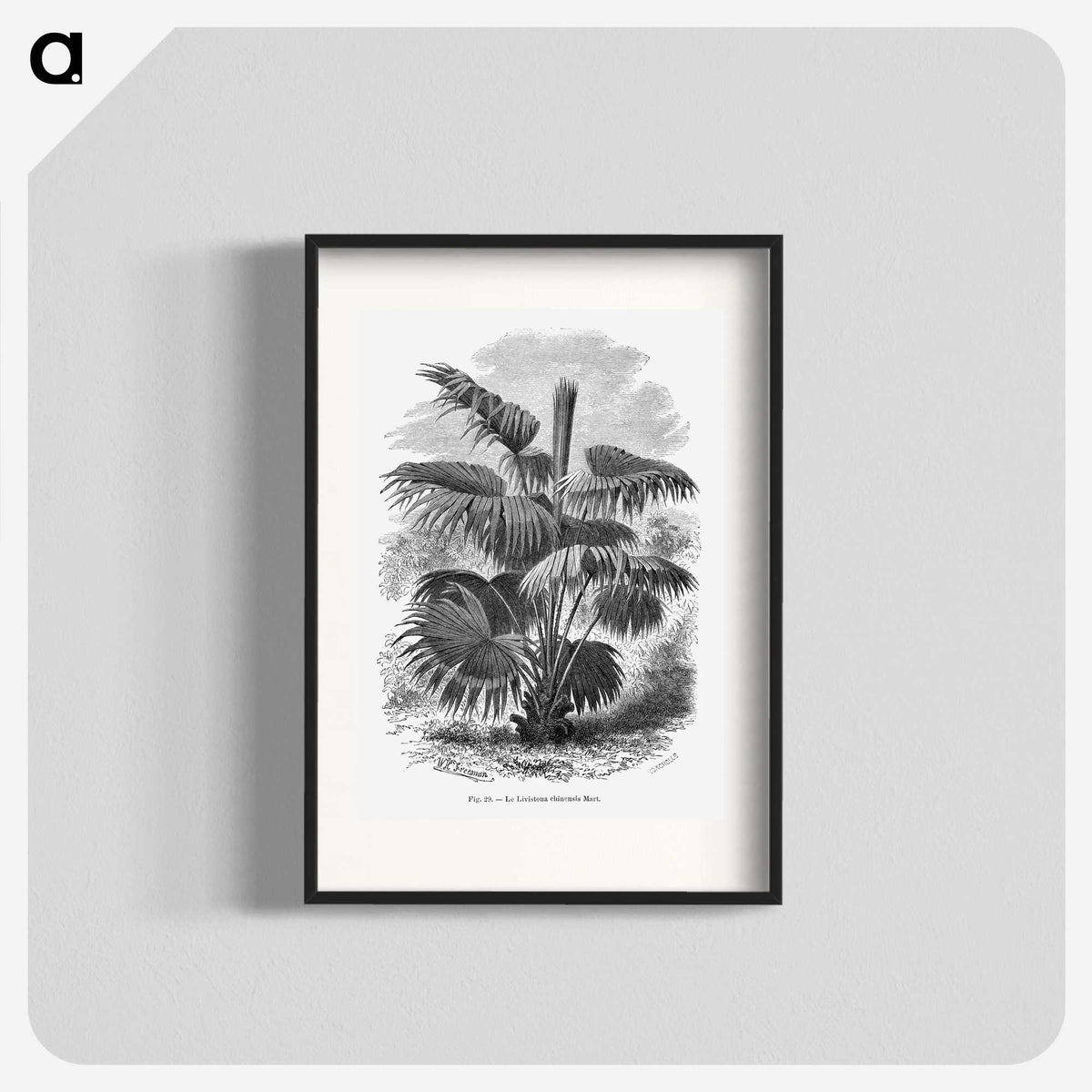 1-91_Les-Palmiers-Histoire-Iconographique_blk